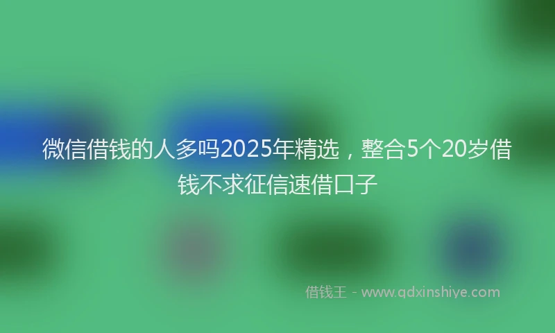 微信借钱的人多吗2025年精选，整合5个20岁借钱不求征信速借口子