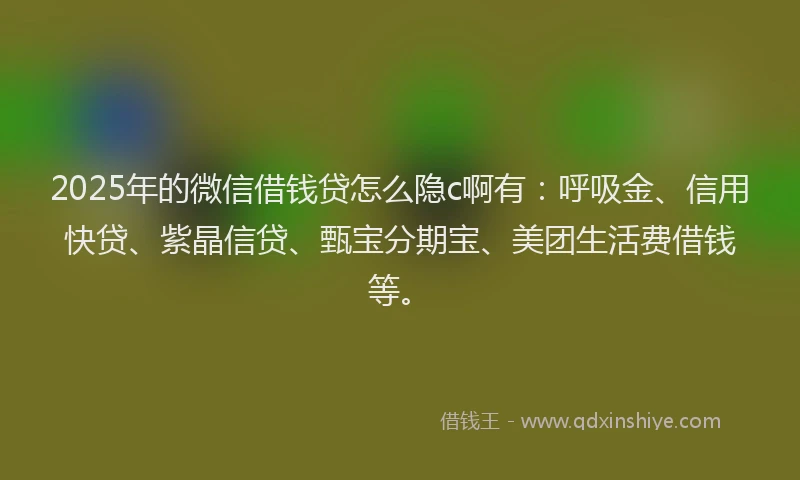 2025年的微信借钱贷怎么隐c啊有：呼吸金、信用快贷、紫晶信贷、甄宝分期宝、美团生活费借钱等。
