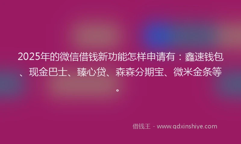 2025年的微信借钱新功能怎样申请有：鑫速钱包、现金巴士、臻心贷、森森分期宝、微米金条等。