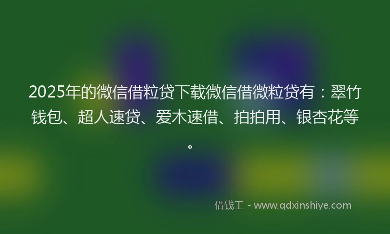 2025年的微信借粒贷下载微信借微粒贷有：翠竹钱包、超人速贷、爱木速借、拍拍用、银杏花等。