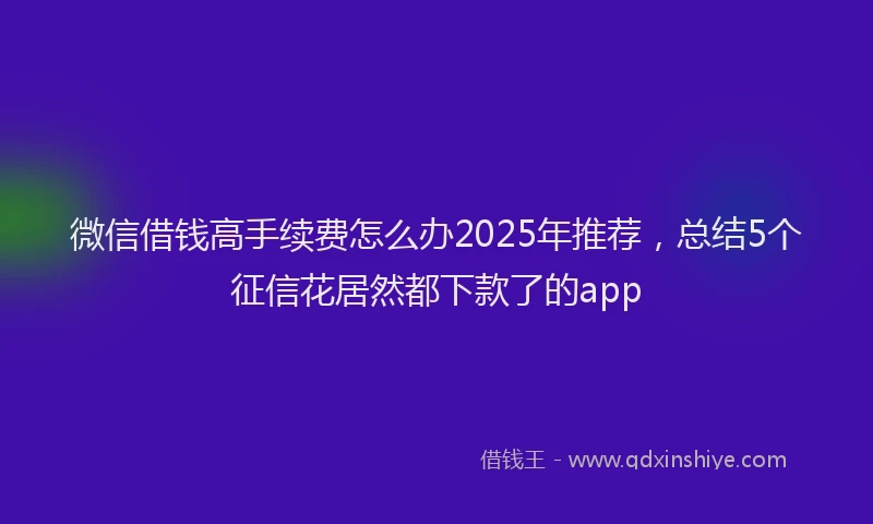 微信借钱高手续费怎么办2025年推荐，总结5个征信花居然都下款了的app