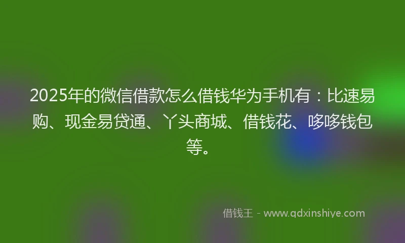 2025年的微信借款怎么借钱华为手机有：比速易购、现金易贷通、丫头商城、借钱花、哆哆钱包等。