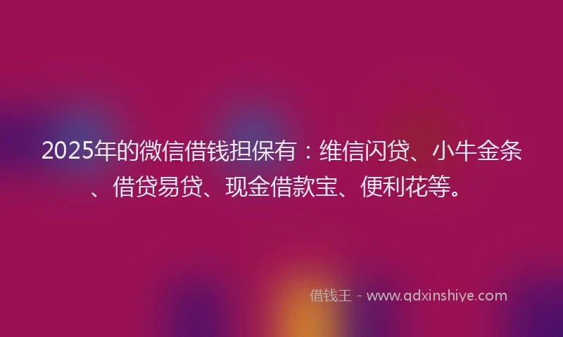 2025年的微信借钱担保有：维信闪贷、小牛金条、借贷易贷、现金借款宝、便利花等。