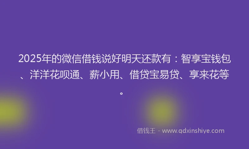 2025年的微信借钱说好明天还款有：智享宝钱包、洋洋花呗通、薪小用、借贷宝易贷、享来花等。