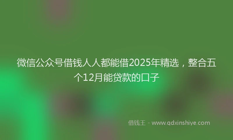 微信公众号借钱人人都能借2025年精选，整合五个12月能贷款的口子