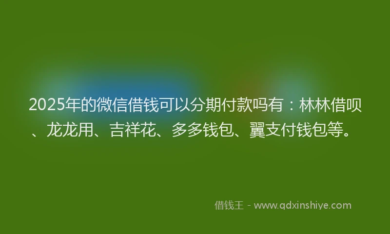 2025年的微信借钱可以分期付款吗有：林林借呗、龙龙用、吉祥花、多多钱包、翼支付钱包等。