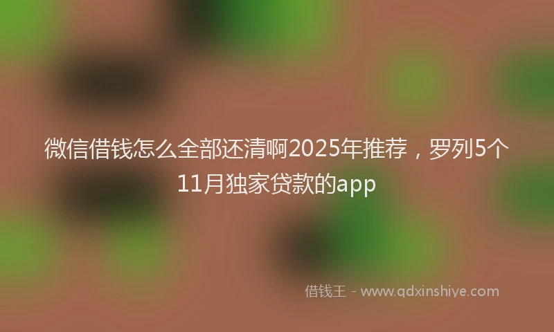 微信借钱怎么全部还清啊2025年推荐，罗列5个11月独家贷款的app