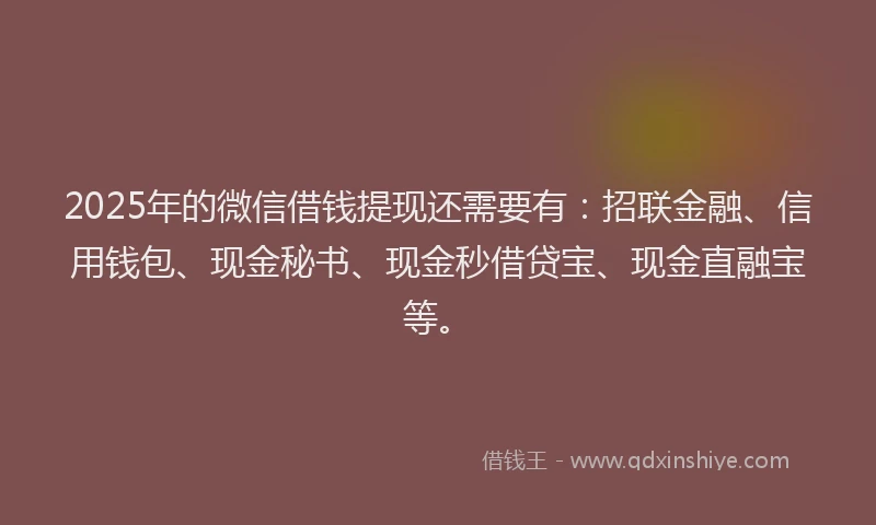2025年的微信借钱提现还需要有：招联金融、信用钱包、现金秘书、现金秒借贷宝、现金直融宝等。