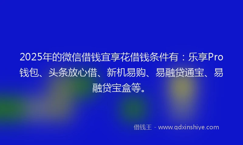 2025年的微信借钱宜享花借钱条件有：乐享Pro钱包、头条放心借、新机易购、易融贷通宝、易融贷宝盒等。