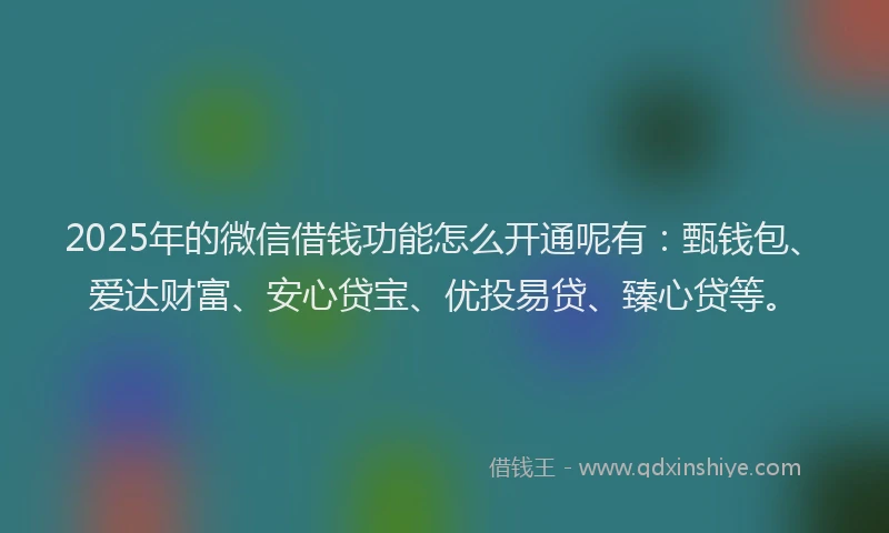 2025年的微信借钱功能怎么开通呢有：甄钱包、爱达财富、安心贷宝、优投易贷、臻心贷等。