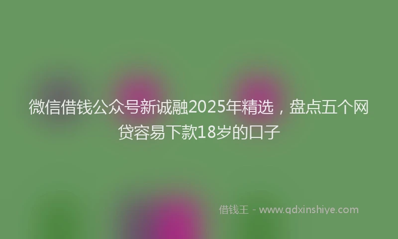 微信借钱公众号新诚融2025年精选，盘点五个网贷容易下款18岁的口子
