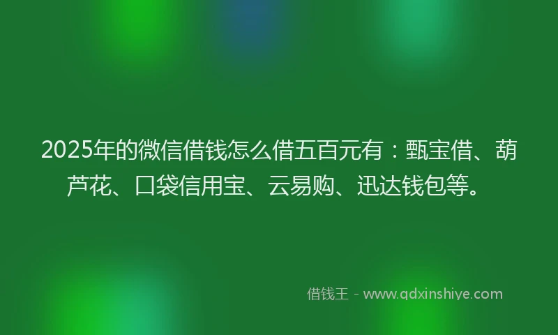 2025年的微信借钱怎么借五百元有：甄宝借、葫芦花、口袋信用宝、云易购、迅达钱包等。
