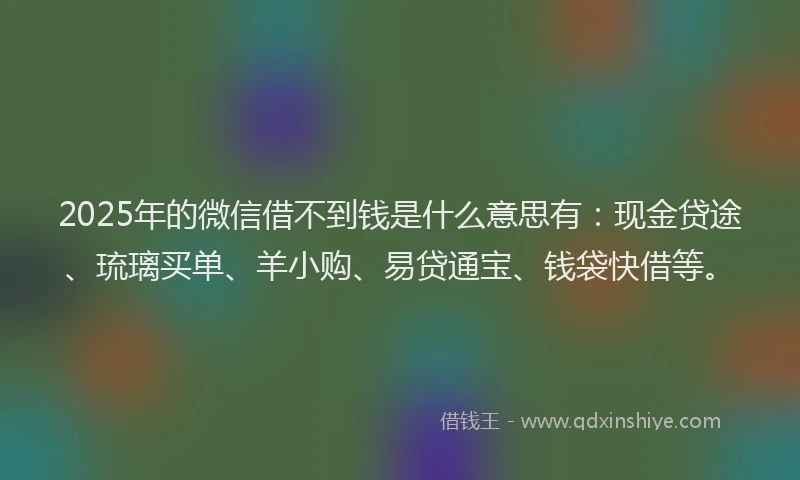 2025年的微信借不到钱是什么意思有：现金贷途、琉璃买单、羊小购、易贷通宝、钱袋快借等。