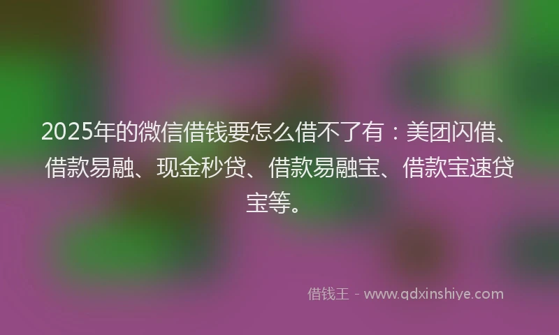 2025年的微信借钱要怎么借不了有：美团闪借、借款易融、现金秒贷、借款易融宝、借款宝速贷宝等。