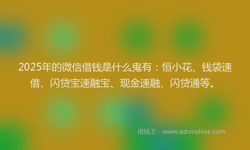 2025年的微信借钱是什么鬼有：恒小花、钱袋速借、闪贷宝速融宝、现金速融、闪贷通等。