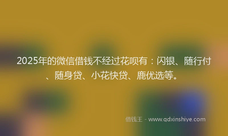 2025年的微信借钱不经过花呗有：闪银、随行付、随身贷、小花快贷、鹿优选等。