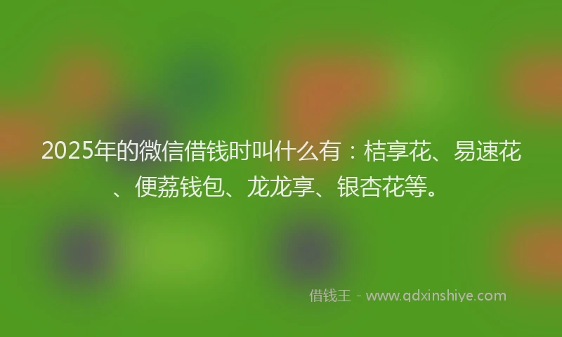 2025年的微信借钱时叫什么有：桔享花、易速花、便荔钱包、龙龙享、银杏花等。