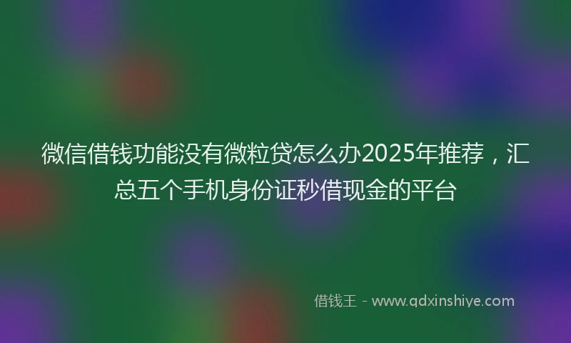 微信借钱功能没有微粒贷怎么办2025年推荐，汇总五个手机身份证秒借现金的平台