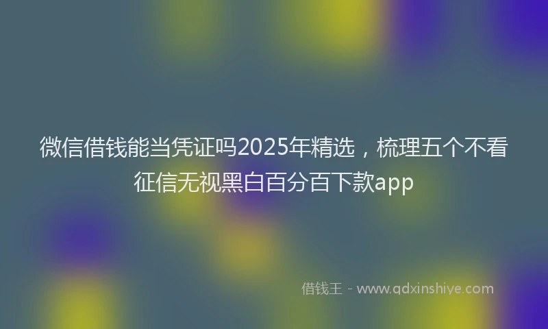 微信借钱能当凭证吗2025年精选，梳理五个不看征信无视黑白百分百下款app
