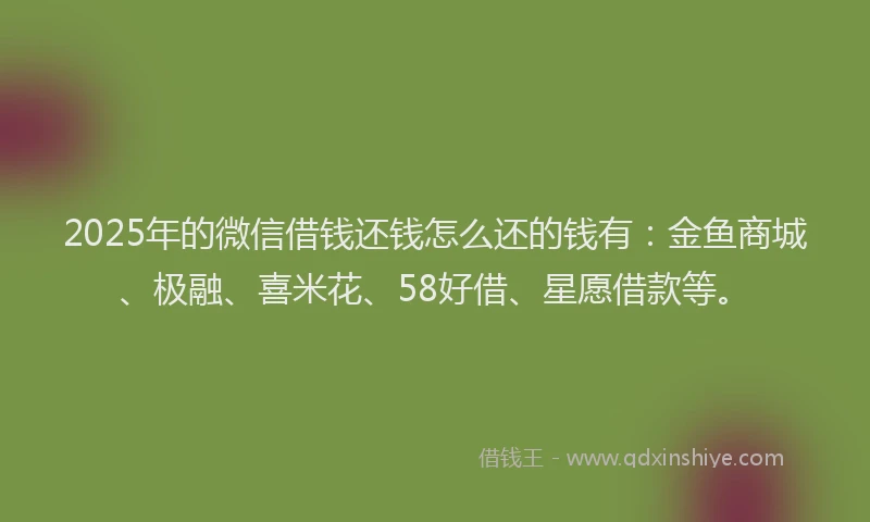 2025年的微信借钱还钱怎么还的钱有：金鱼商城、极融、喜米花、58好借、星愿借款等。