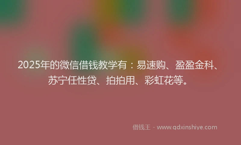 2025年的微信借钱教学有：易速购、盈盈金科、苏宁任性贷、拍拍用、彩虹花等。