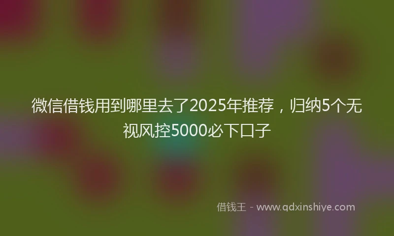 微信借钱用到哪里去了2025年推荐，归纳5个无视风控5000必下口子