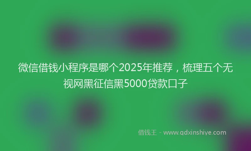 微信借钱小程序是哪个2025年推荐，梳理五个无视网黑征信黑5000贷款口子
