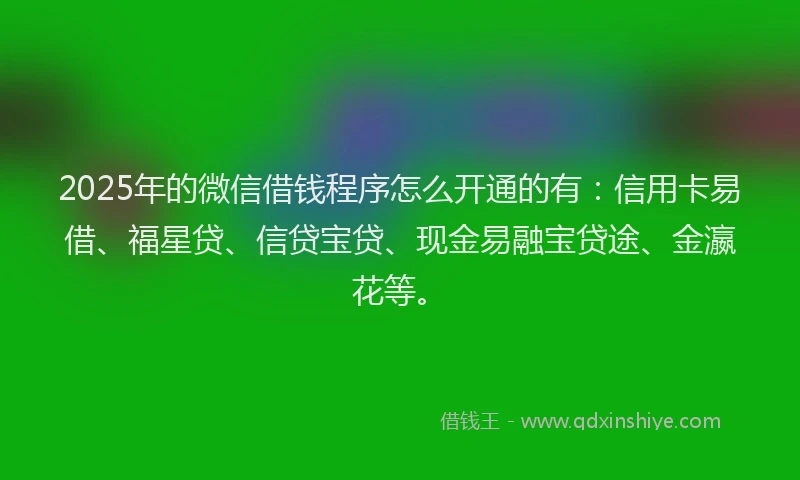 2025年的微信借钱程序怎么开通的有：信用卡易借、福星贷、信贷宝贷、现金易融宝贷途、金瀛花等。