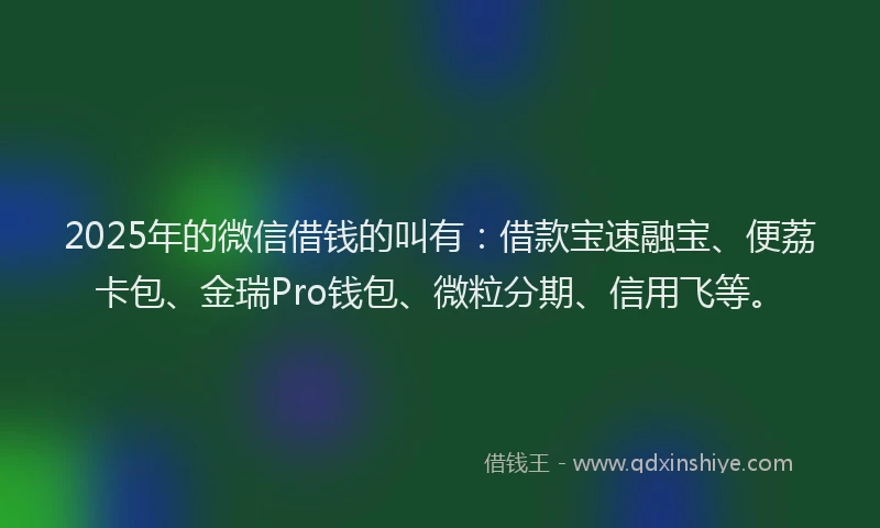 2025年的微信借钱的叫有：借款宝速融宝、便荔卡包、金瑞Pro钱包、微粒分期、信用飞等。