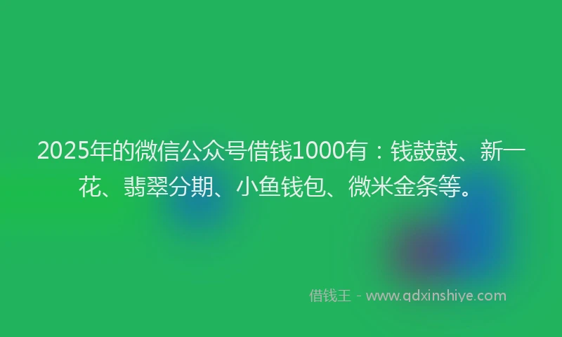 2025年的微信公众号借钱1000有：钱鼓鼓、新一花、翡翠分期、小鱼钱包、微米金条等。