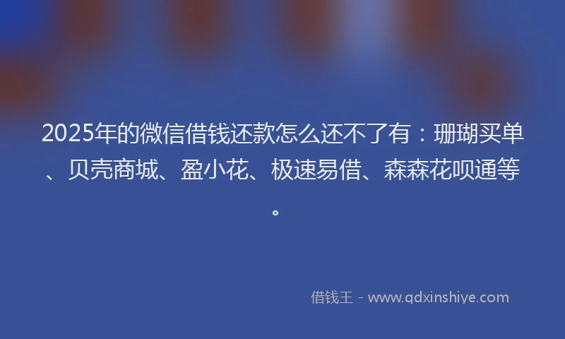 2025年的微信借钱还款怎么还不了有：珊瑚买单、贝壳商城、盈小花、极速易借、森森花呗通等。