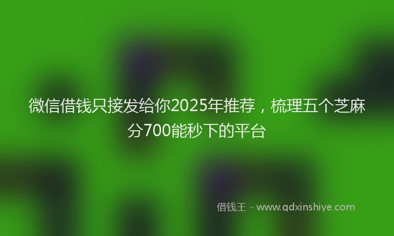 微信借钱只接发给你2025年推荐，梳理五个芝麻分700能秒下的平台