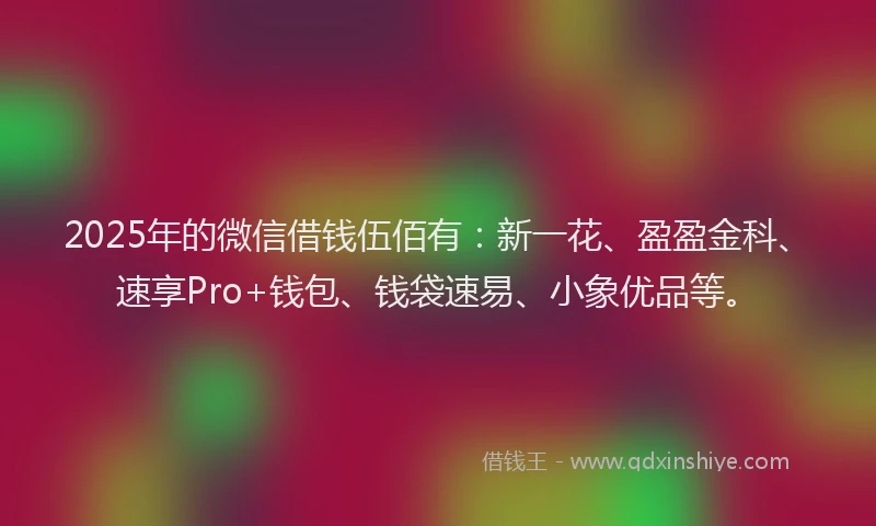 2025年的微信借钱伍佰有：新一花、盈盈金科、速享Pro+钱包、钱袋速易、小象优品等。