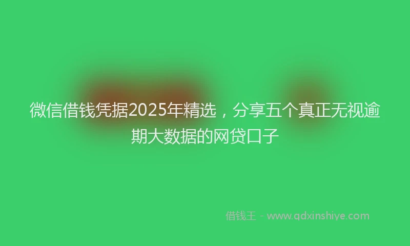 微信借钱凭据2025年精选，分享五个真正无视逾期大数据的网贷口子