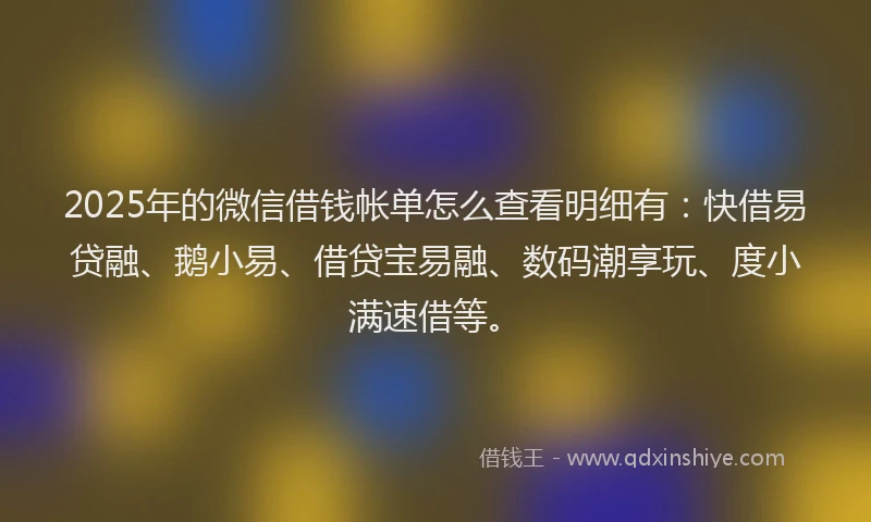 2025年的微信借钱帐单怎么查看明细有：快借易贷融、鹅小易、借贷宝易融、数码潮享玩、度小满速借等。