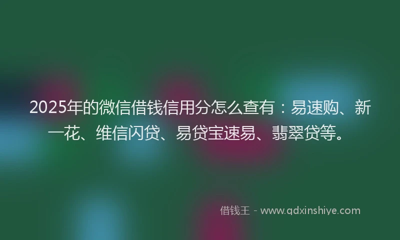 2025年的微信借钱信用分怎么查有：易速购、新一花、维信闪贷、易贷宝速易、翡翠贷等。