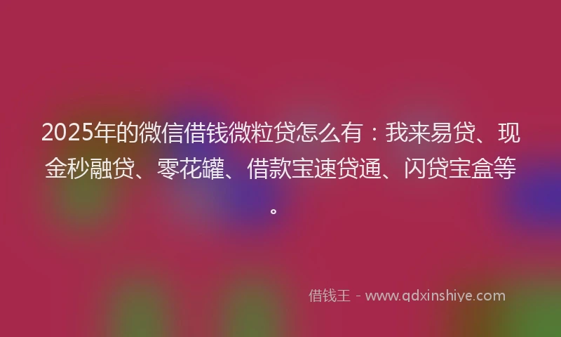 2025年的微信借钱微粒贷怎么有：我来易贷、现金秒融贷、零花罐、借款宝速贷通、闪贷宝盒等。