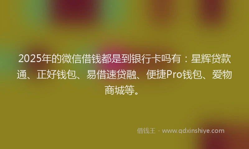 2025年的微信借钱都是到银行卡吗有：星辉贷款通、正好钱包、易借速贷融、便捷Pro钱包、爱物商城等。