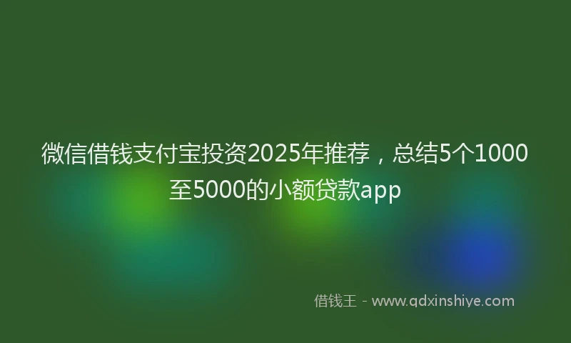 微信借钱支付宝投资2025年推荐，总结5个1000至5000的小额贷款app