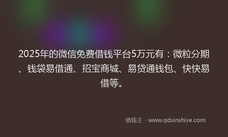2025年的微信免费借钱平台5万元有：微粒分期、钱袋易借通、招宝商城、易贷通钱包、快快易借等。