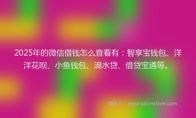 2025年的微信借钱怎么查看有：智享宝钱包、洋洋花呗、小鱼钱包、滴水贷、借贷宝通等。