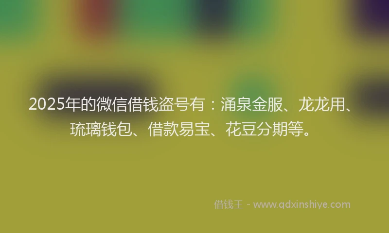 2025年的微信借钱盗号有：涌泉金服、龙龙用、琉璃钱包、借款易宝、花豆分期等。