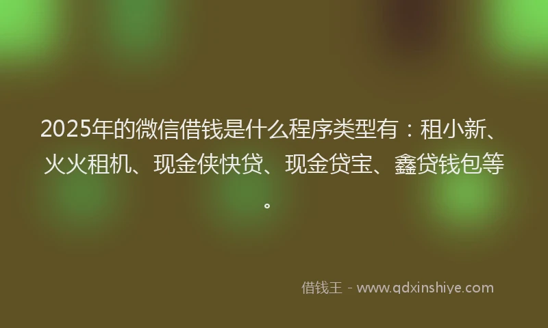 2025年的微信借钱是什么程序类型有：租小新、火火租机、现金侠快贷、现金贷宝、鑫贷钱包等。