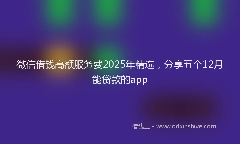 微信借钱高额服务费2025年精选，分享五个12月能贷款的app