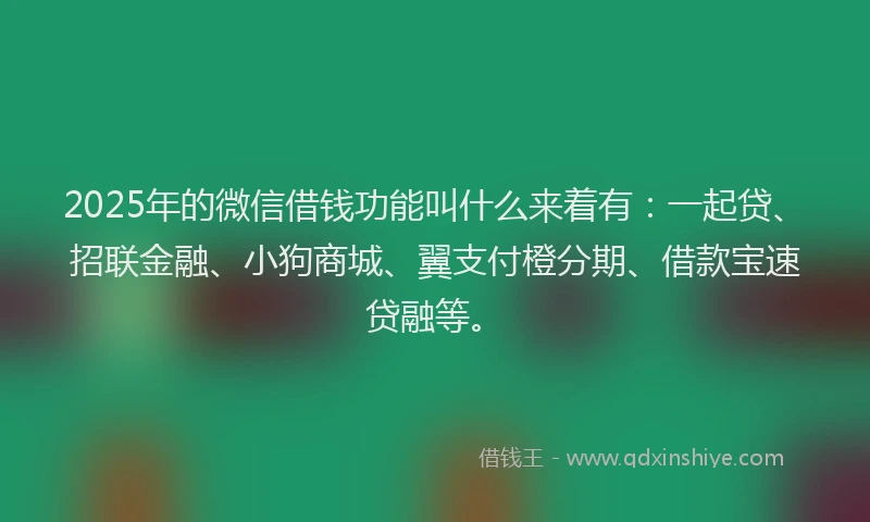 2025年的微信借钱功能叫什么来着有：一起贷、招联金融、小狗商城、翼支付橙分期、借款宝速贷融等。