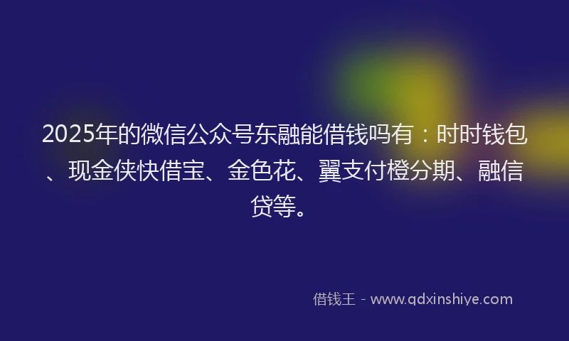 2025年的微信公众号东融能借钱吗有：时时钱包、现金侠快借宝、金色花、翼支付橙分期、融信贷等。