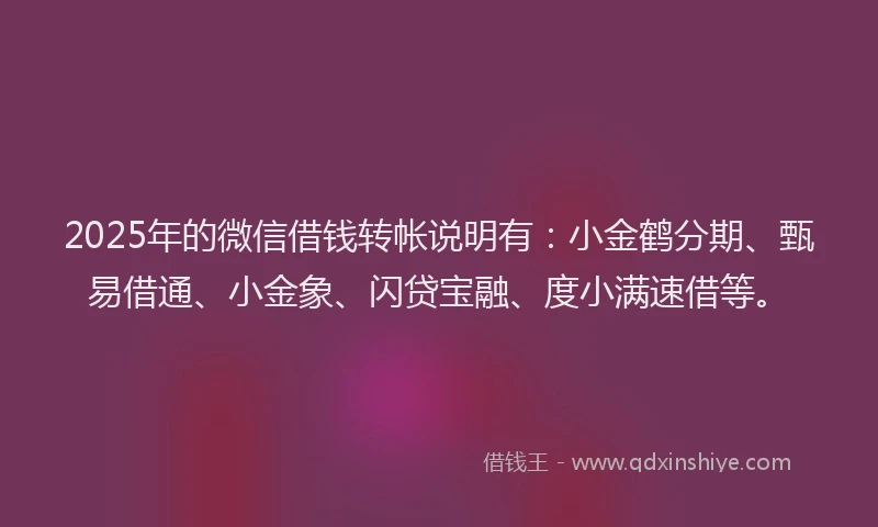 2025年的微信借钱转帐说明有：小金鹤分期、甄易借通、小金象、闪贷宝融、度小满速借等。