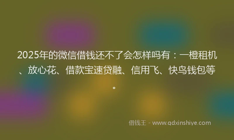 2025年的微信借钱还不了会怎样吗有：一橙租机、放心花、借款宝速贷融、信用飞、快鸟钱包等。