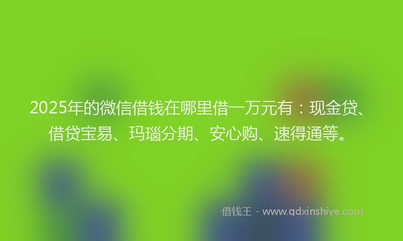 2025年的微信借钱在哪里借一万元有：现金贷、借贷宝易、玛瑙分期、安心购、速得通等。