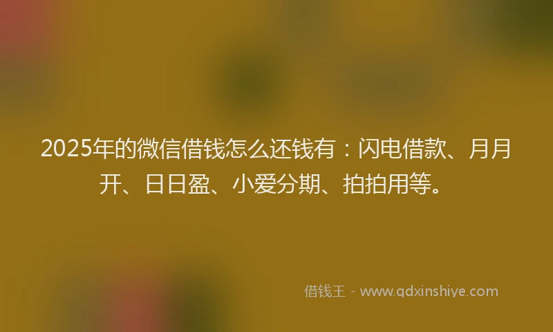 2025年的微信借钱怎么还钱有：闪电借款、月月开、日日盈、小爱分期、拍拍用等。